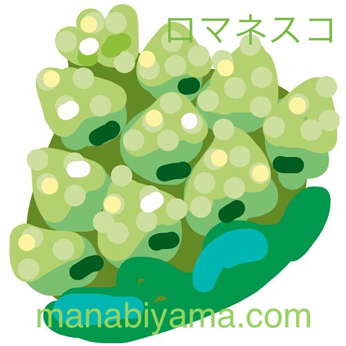 ”絵しりとり・ロマネスコ”